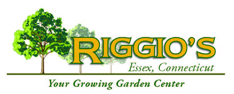 Riggio's Garden Center